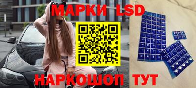 амф Можга