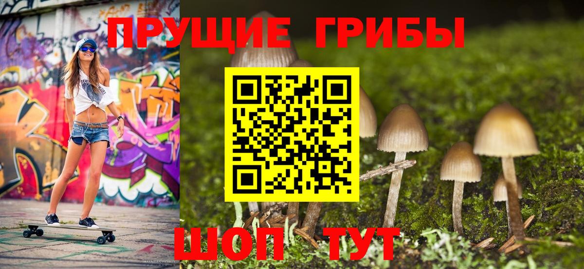 Галлюциногенные грибы MAGIC MUSHROOMS  Галлюциногенные грибы GOLDEN TEACHER  Великий Новгород  Вход с VPN 