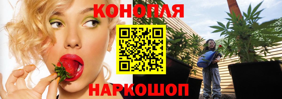Шишки марихуана MAZAR Великий Новгород